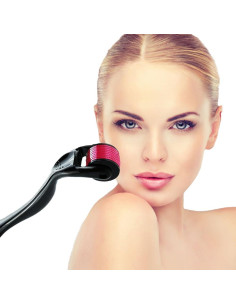 Rodillo Derma Microneedle Addabst 0.25mm para Piel 2