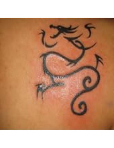 Aceite Natural para Remoción de Tatuajes ATAMAZE 40g