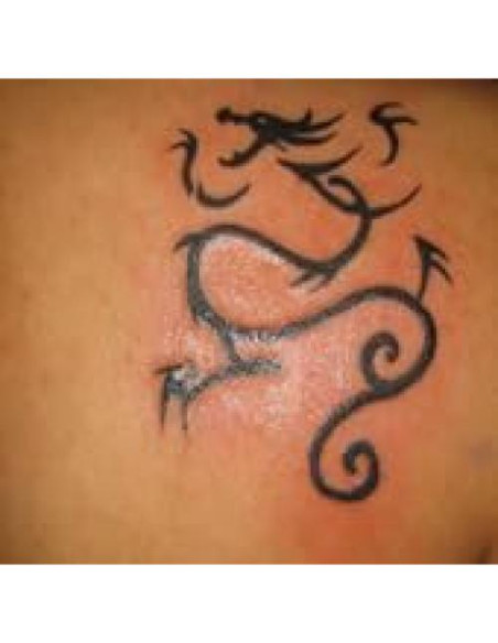 Aceite Natural para Remoción de Tatuajes ATAMAZE 40g