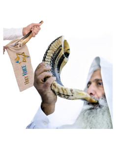 Shofar de Carnero Kosher Holy Voice 30-35 cm con Bolsa