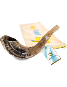 Shofar de Carnero Kosher Holy Voice 30-35 cm con Bolsa 2