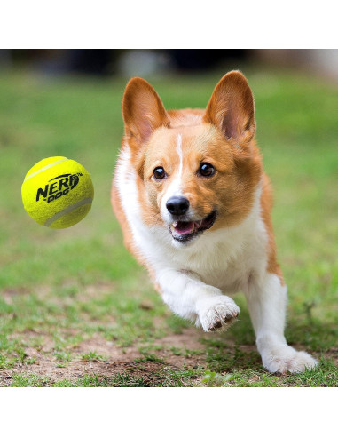 Blaster Nerf Dog Grande con 4 Pelotas para Perros