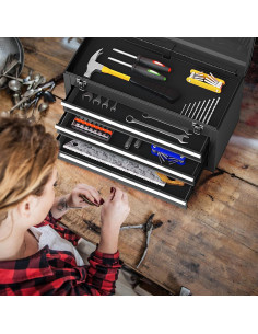 Caja de Herramientas Portátil ERGOMASTER 3 Cajones Acero 2