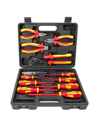 BILITOOLS Juego de 12 Destornilladores y Alicates Aislados 1000V