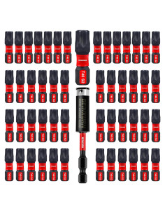 Juego de 51 Puntas Torx T40 GEINXURN Acero S2 2.54 cm