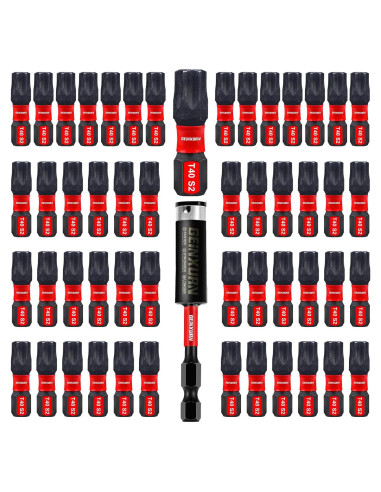 Juego de 51 Puntas Torx T40 GEINXURN Acero S2 2.54 cm