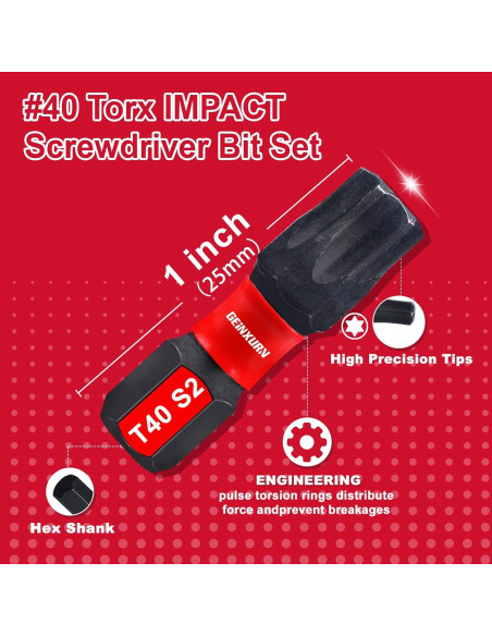 Juego de 51 Puntas Torx T40 GEINXURN Acero S2 2.54 cm