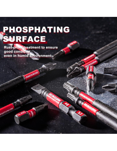 Juego de 51 Puntas Torx T40 GEINXURN Acero S2 2.54 cm