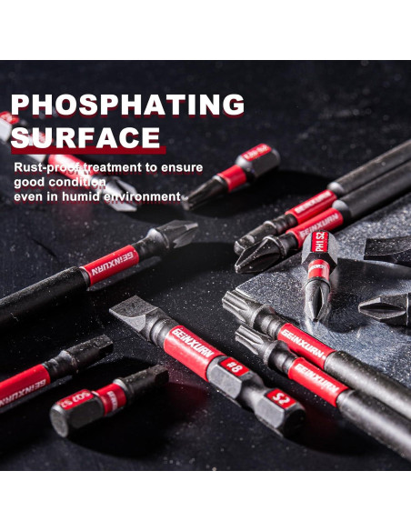 Juego de 51 Puntas Torx T40 GEINXURN Acero S2 2.54 cm