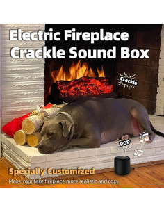 Caja de Sonido Crepitante MSELTOS MS001 con Control Remoto 2