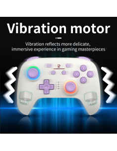 Controlador Inalámbrico RG P01 para PC y Switch - Plug & Play 2