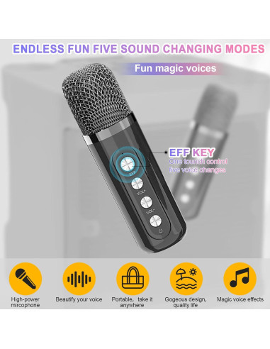 Máquina de Karaoke Aresrora KD-203 con 2 Micrófonos