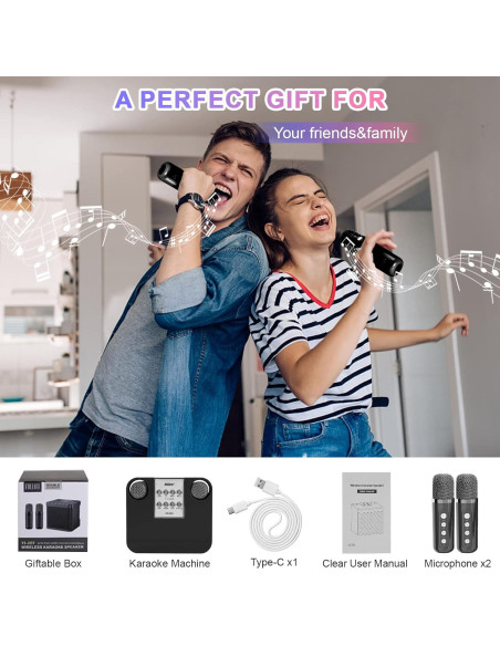 Máquina de Karaoke Aresrora KD-203 con 2 Micrófonos Máquina de Karaoke Aresrora KD-203 con 2 Micrófonos