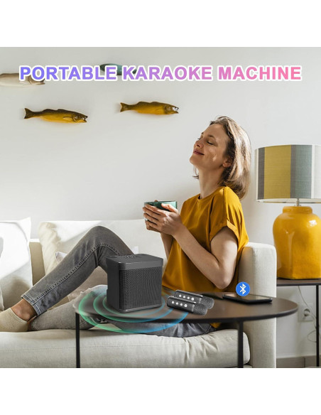 Máquina de Karaoke Aresrora KD-203 con 2 Micrófonos Máquina de Karaoke Aresrora KD-203 con 2 Micrófonos