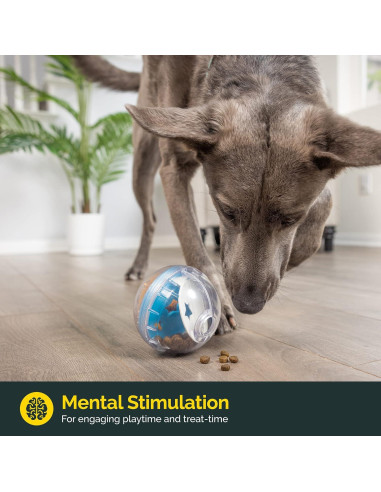 Bola dispensadora de golosinas Pet Zone 10 cm Juguete interactivo