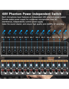 Mezclador de Audio Profesional LA-12, 12 Canales, Reverb DSP 2