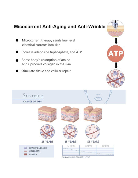 Rodillo de Masaje Facial Microcorriente 5D Flyhorse Azul