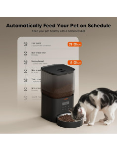 Dispensador Automático de Comida WOPET 4L para Gatos y Perros 2