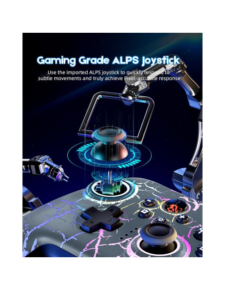 Controlador Pro Inalámbrico BINBOKPLAY para Switch - Gris RGB