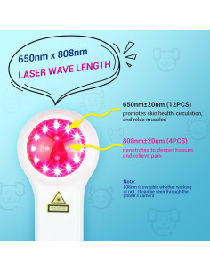 Dispositivo de Terapia con Láser Frío Mibest para Mascotas - Alivio Dolor Articulaciones y Músculos 2