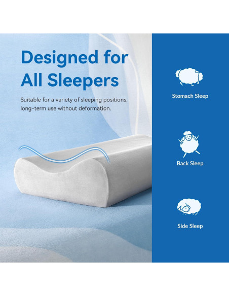 Almohada Contour AM AEROMAX King Espuma Memoria 81x41cm