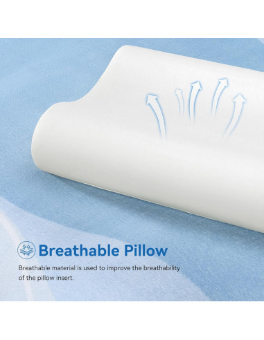 Almohada Contour AM AEROMAX King Espuma Memoria 81x41cm