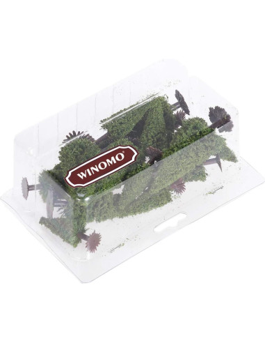 15 Árboles de Cedro Miniatura Wakauto para Paisaje Verde