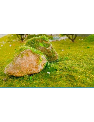 Césped Estático NWFashion 6 Botellas 125ml Mezcla Colores