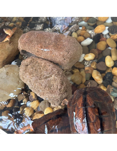 Piedras de río naturales SHIZWU 2-3" color mixto 18kg