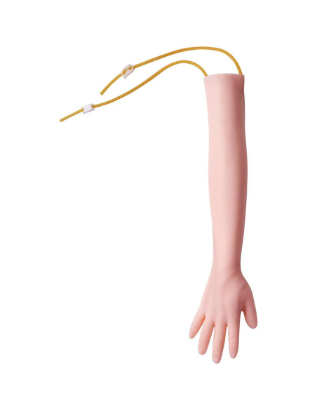 Kit de Práctica IV VEVOR para Flebotomía con Soporte