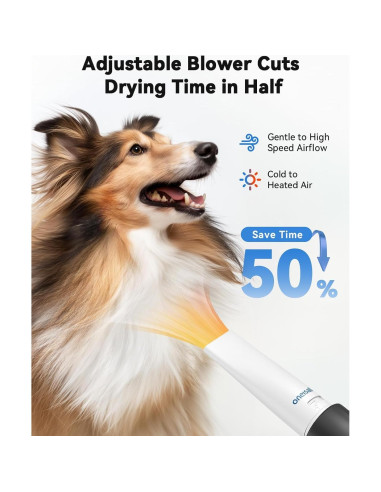 Aspiradora y Secador para Perros Oneisall BM1 8 en 1