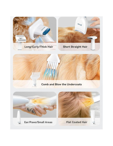 Aspiradora y Secador para Perros Oneisall BM1 8 en 1