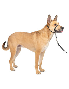 Collar de Cabeza PetSafe Gentle Leader No-Pull Mediano Negro