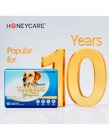 Almohadillas de Entrenamiento HONEY CARE XL 40 Unidades 71x86 cm