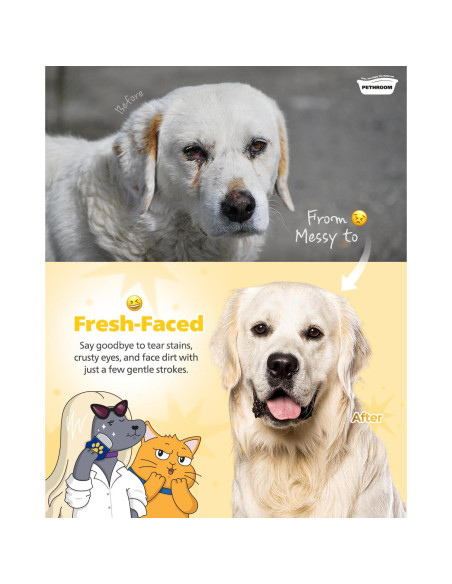 Peine Profesional PETHROOM para Ojos de Mascotas - Acero Inoxidable