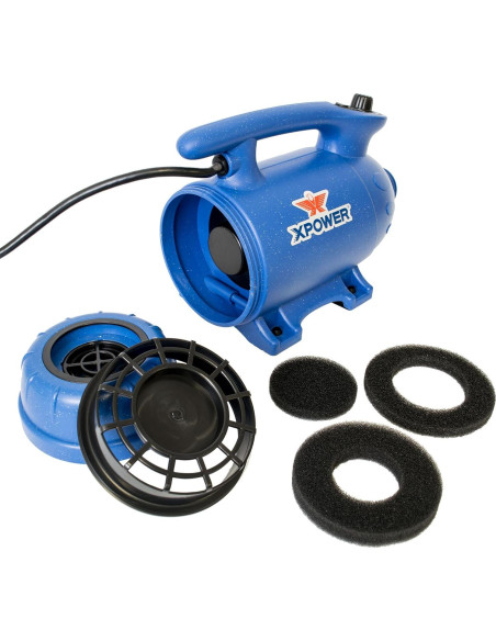 Secador Profesional para Mascotas XPOWER B-24 3 HP Silencioso