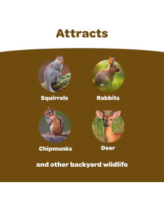 Mezcla de Alimentos para Vida Silvestre Kaytee 2,27 kg 2