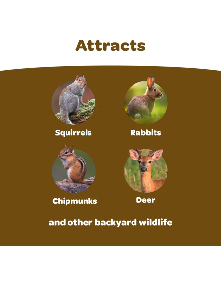 Mezcla de Alimentos para Vida Silvestre Kaytee 2,27 kg