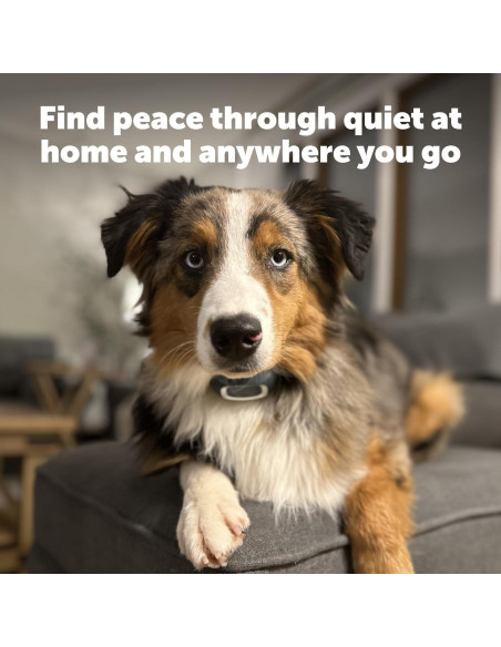 Collar de Entrenamiento PetSafe Recargable para Perros 15 Niveles Collar de Entrenamiento PetSafe Recargable para Perros 15 Niveles