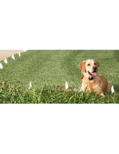 Banderas de Entrenamiento para Perros eXtreme Dog Fence - 50 Unidades 2