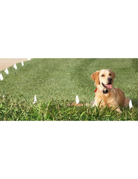 Banderas de Entrenamiento para Perros eXtreme Dog Fence - 50 Unidades