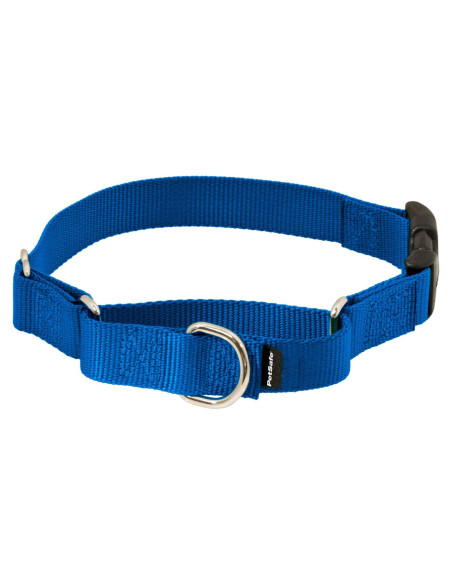 Collar Martingale PetSafe con Hebilla Rápida 2,54 cm Azul Collar Martingale PetSafe con Hebilla Rápida 2,54 cm Azul