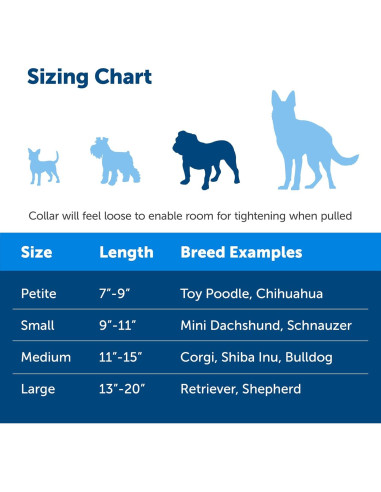 Collar Martingale PetSafe con Hebilla Rápida 2,54 cm Azul