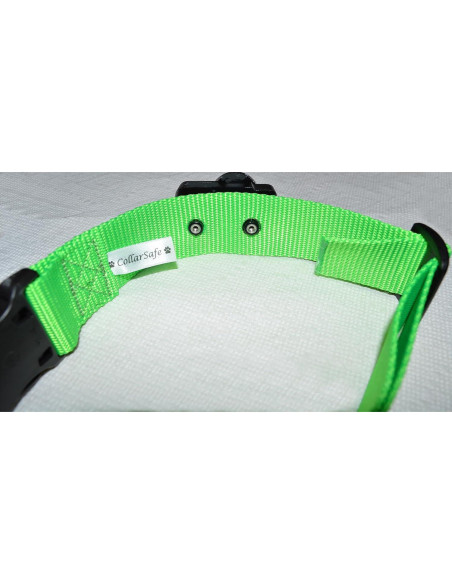 CollarSafe Collar para Perro Grande 3.8 cm Calaveras