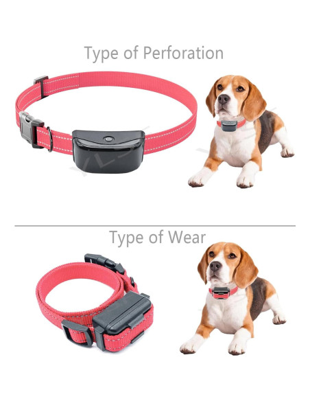 Correa de Nylon para Perros YLSF Rosa 1 Paquete 1.90 cm