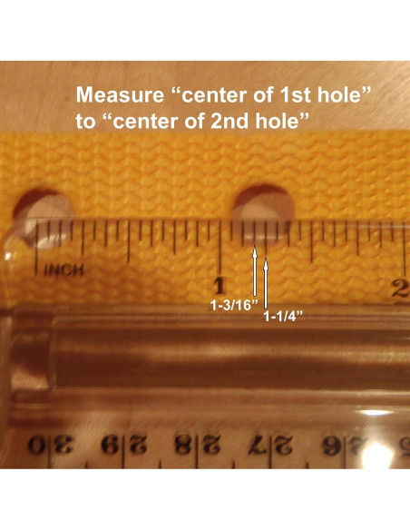 CollarSafe Collar para Perro Grande 3.8 cm Calaveras