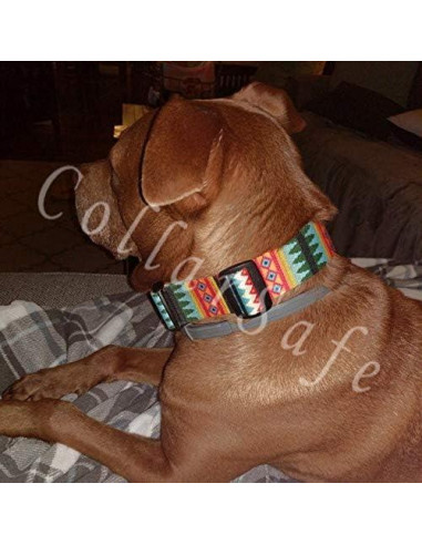 CollarSafe Collar para Perro Grande 3.8 cm Calaveras