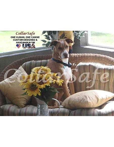 CollarSafe Collar para Perro Grande 3.8 cm Calaveras