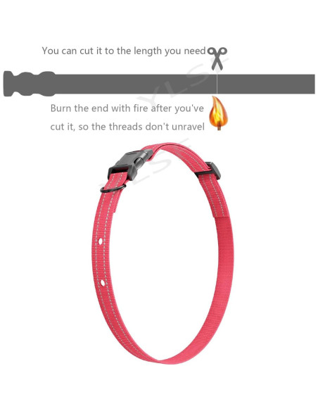 Correa de Nylon para Perros YLSF Rosa 1 Paquete 1.90 cm