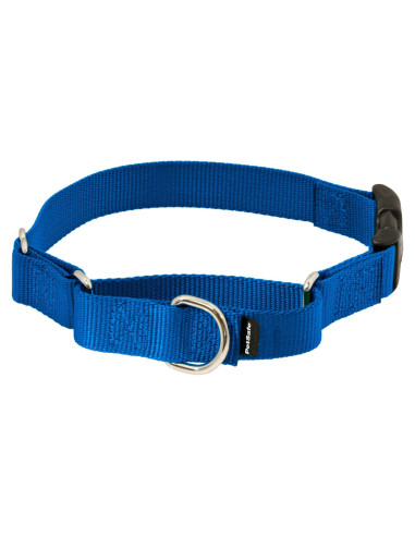 Collar Martingale PetSafe con Hebilla Rápido Desenganche 2,54cm Azul